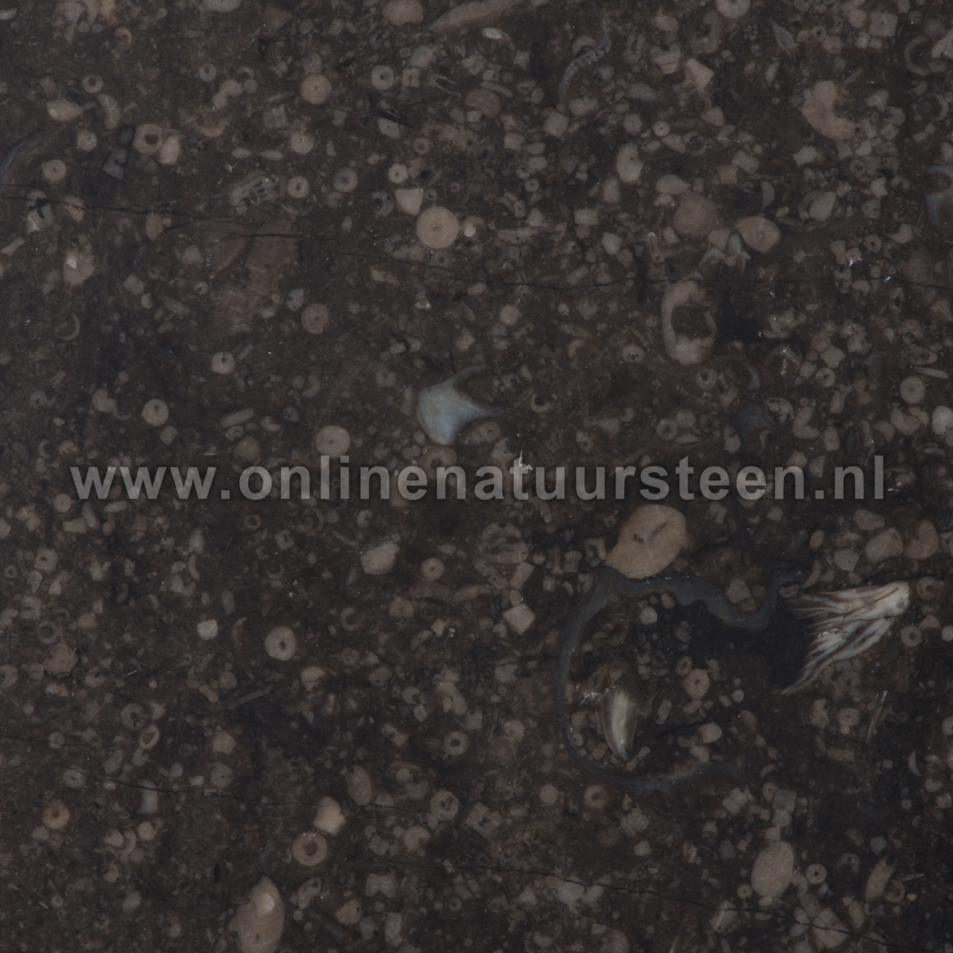 Galerij: Belgisch hardsteen (donker gezoet) - 6 cm dik.