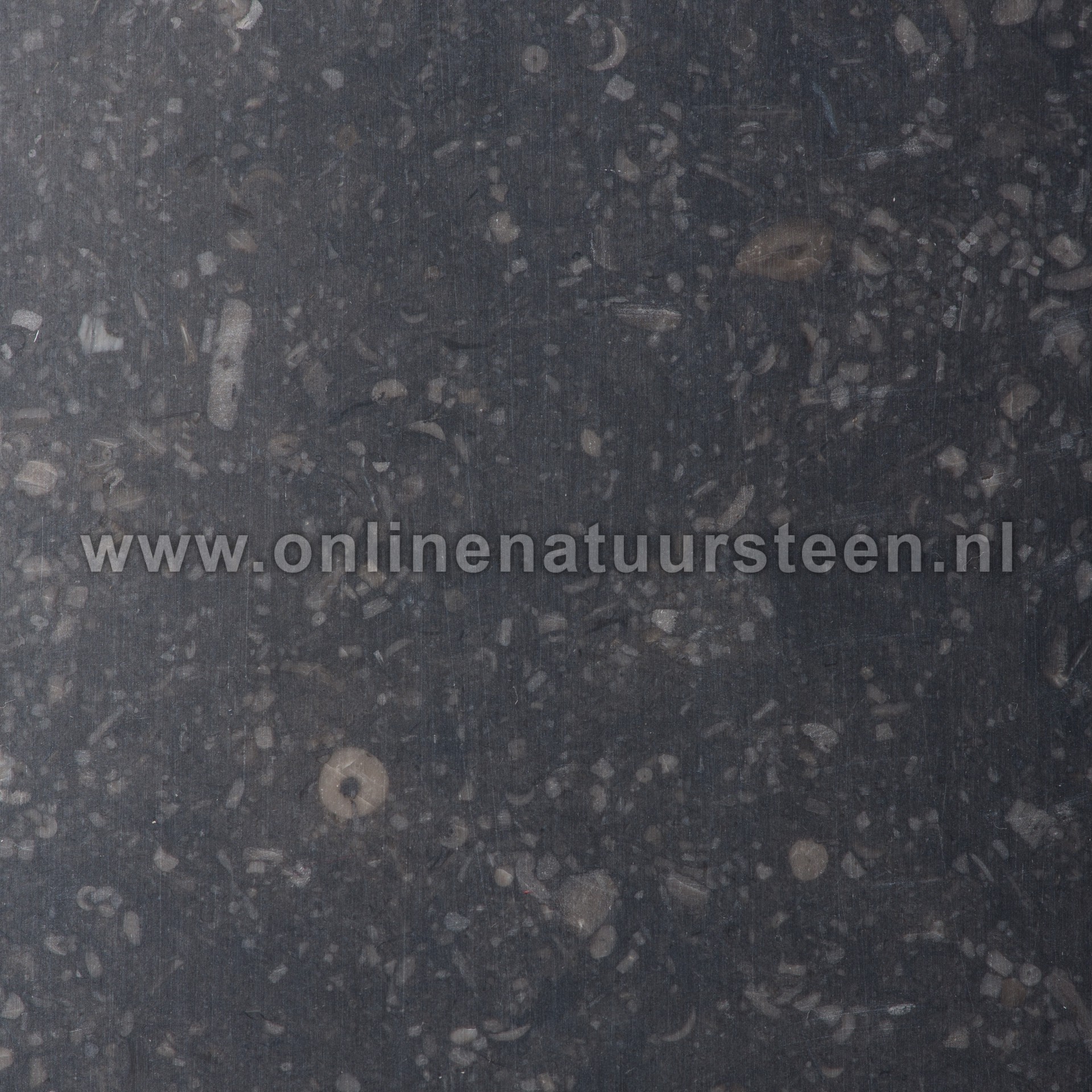 Galerij: Belgisch hardsteen (gezoet) - 2 cm dik.